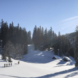 Genüssliche Skitouren für Einsteig im Steirischen Ennstal beim Skitourencamp mit Bergführer