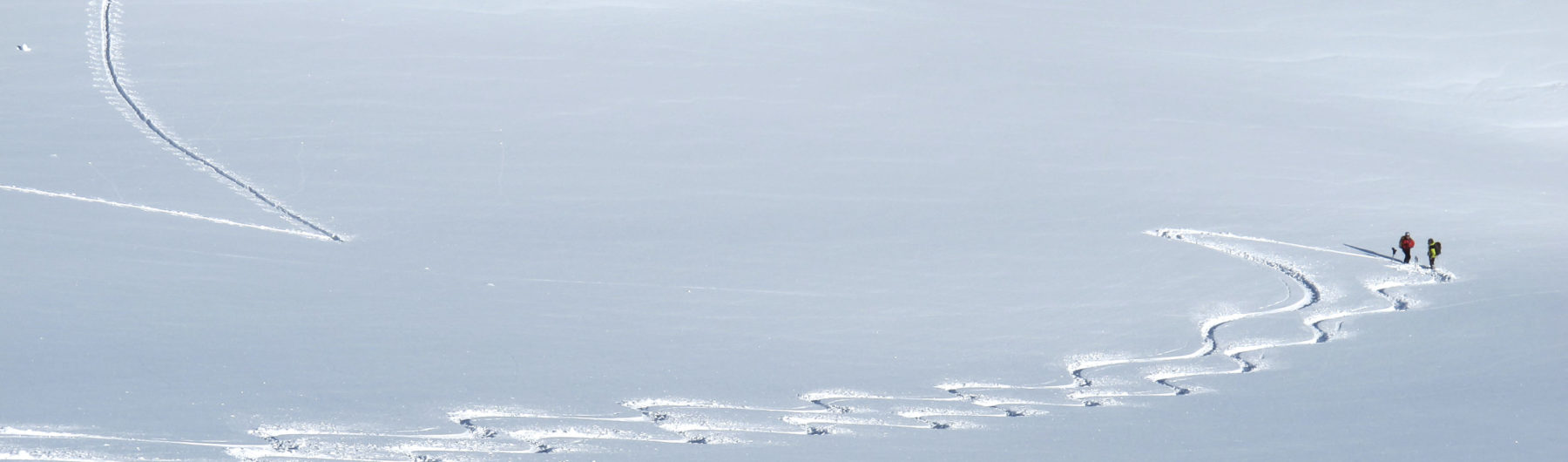 Skitourenspur im unverspurten Pulverschnee