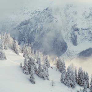 Perfektes Skitouren-Gelände im Donnersbachtal